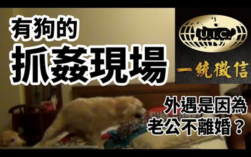 如何突破看門犬抓姦? 老公不離婚是外遇的理由? 一統徵信社【抓姦現場】